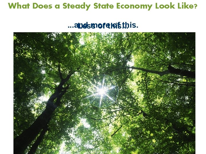 What Does a Steady State Economy Look Like? . . . and more of