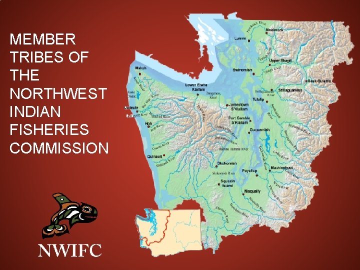 MEMBER TRIBES OF THE NORTHWEST INDIAN FISHERIES COMMISSION 