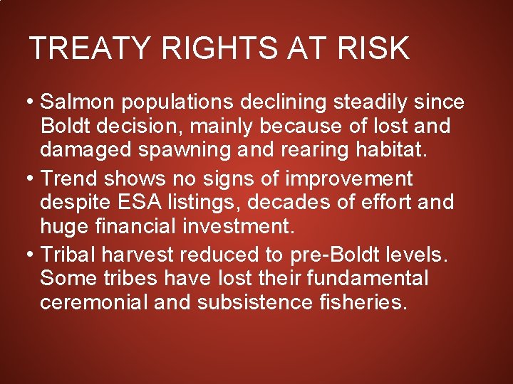 TREATY RIGHTS AT RISK • Salmon populations declining steadily since Boldt decision, mainly because
