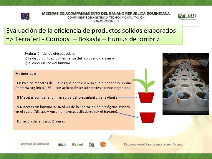 Evaluación de la eficiencia de productos solidos elaborados => Terrafert - Compost – Bokashi