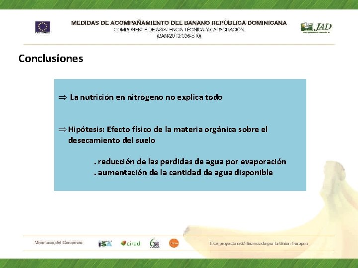 Conclusiones Þ La nutrición en nitrógeno no explica todo Þ Hipótesis: Efecto físico de