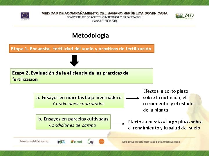 Metodología Etapa 1. Encuesta: fertilidad del suelo y practicas de fertilización Etapa 2. Evaluación