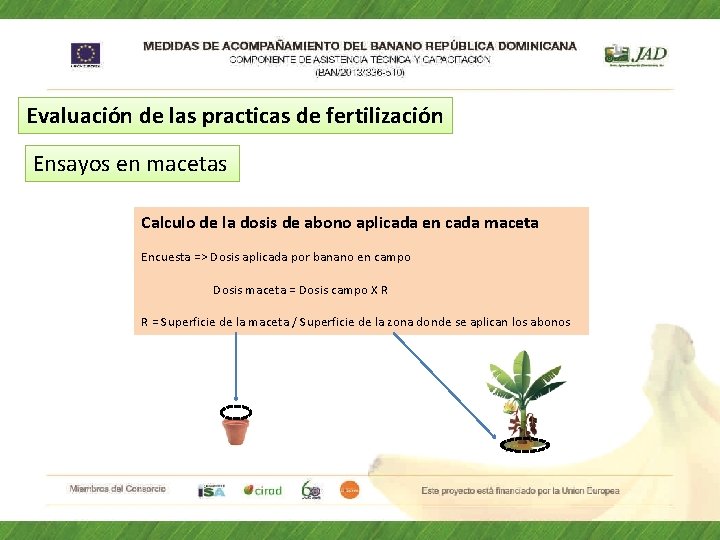 Evaluación de las practicas de fertilización Ensayos en macetas Calculo de la dosis de