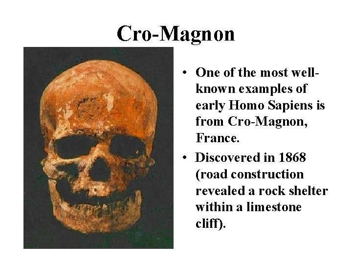 Cro-Magnon • One of the most wellknown examples of early Homo Sapiens is from