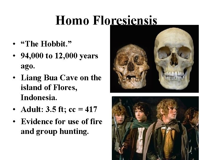 Homo Floresiensis • “The Hobbit. ” • 94, 000 to 12, 000 years ago.