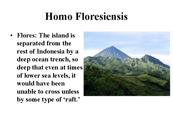 Homo Floresiensis • Flores: The island is separated from the rest of Indonesia by