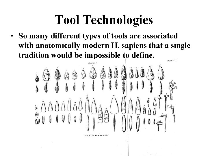Tool Technologies • So many different types of tools are associated with anatomically modern