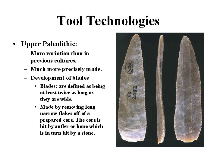 Tool Technologies • Upper Paleolithic: – More variation than in previous cultures. – Much