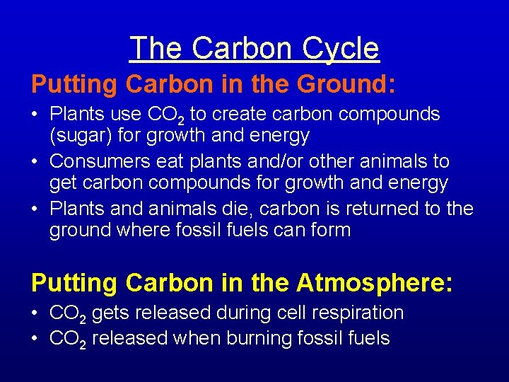 The Carbon Cycle Putting Carbon in the Ground: • Plants use CO 2 to