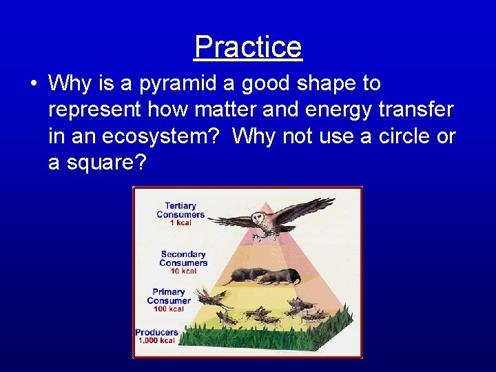 Practice • Why is a pyramid a good shape to represent how matter and