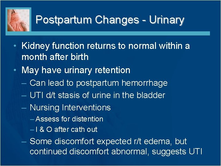 Postpartum Changes - Urinary • Kidney function returns to normal within a month after Postpartum Changes - Urinary • Kidney function returns to normal within a month after