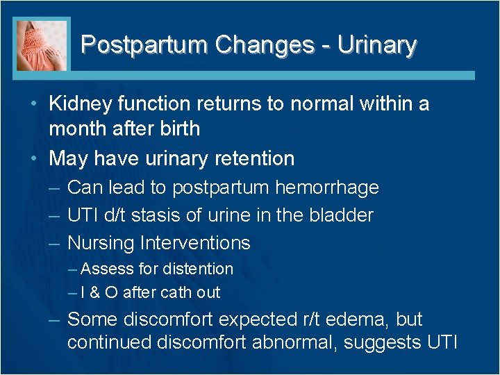 Postpartum Changes - Urinary • Kidney function returns to normal within a month after