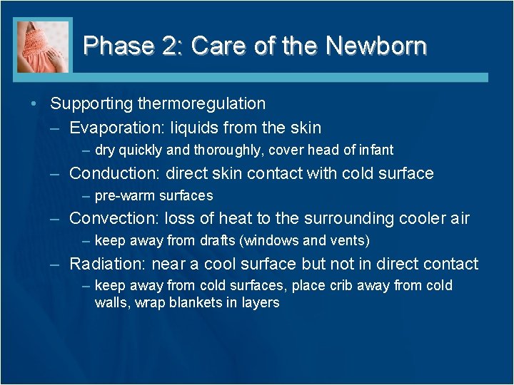 Phase 2: Care of the Newborn • Supporting thermoregulation – Evaporation: liquids from the