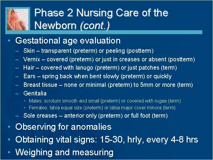 Phase 2 Nursing Care of the Newborn (cont. ) • Gestational age evaluation –