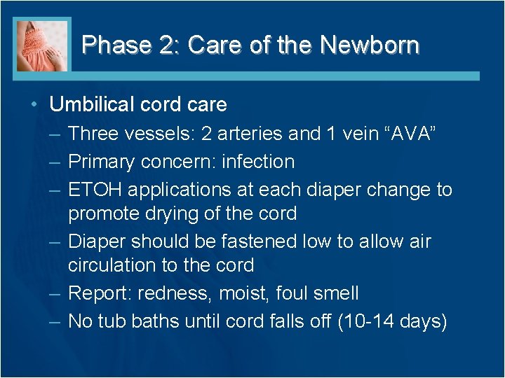 Phase 2: Care of the Newborn • Umbilical cord care – Three vessels: 2