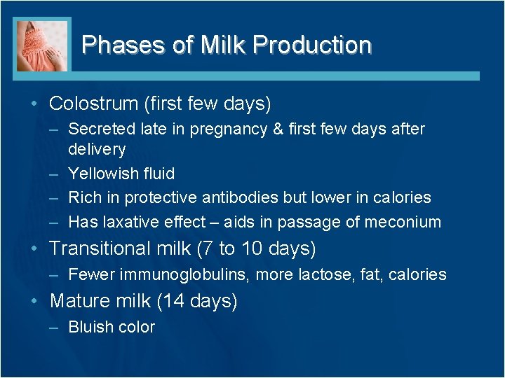 Phases of Milk Production • Colostrum (first few days) – Secreted late in pregnancy
