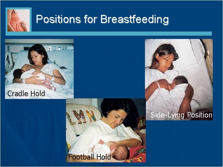 Positions for Breastfeeding Cradle Hold Side-Lying Position Football Hold Positions for Breastfeeding Cradle Hold Side-Lying Position Football Hold