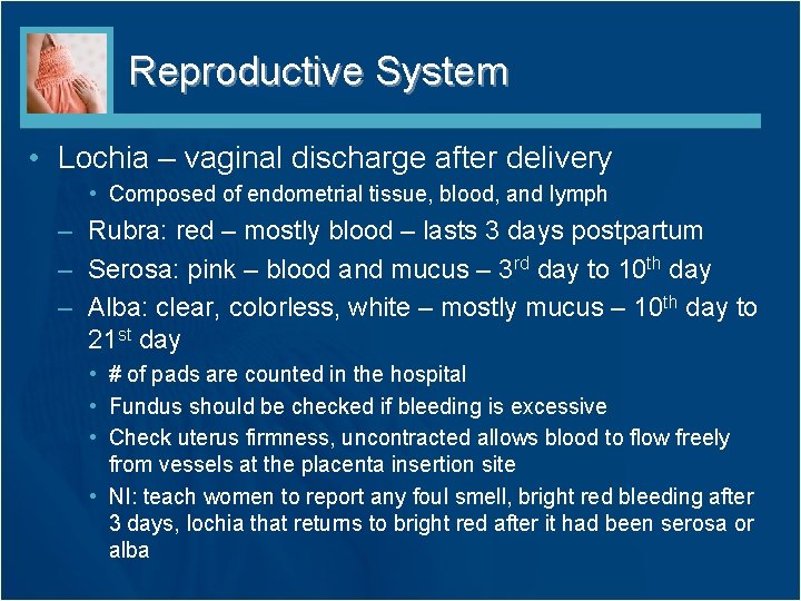 Reproductive System • Lochia – vaginal discharge after delivery • Composed of endometrial tissue, Reproductive System • Lochia – vaginal discharge after delivery • Composed of endometrial tissue,