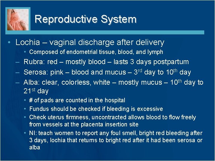 Reproductive System • Lochia – vaginal discharge after delivery • Composed of endometrial tissue,