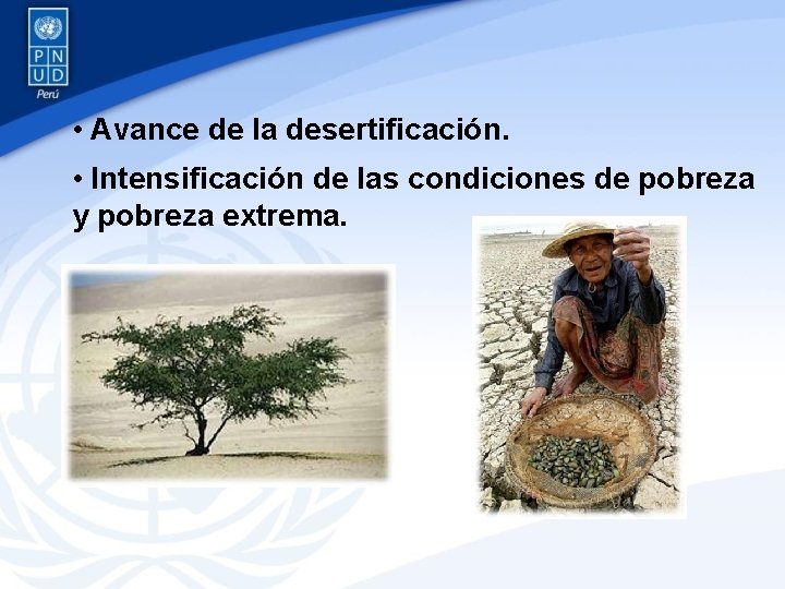  • Avance de la desertificación. • Intensificación de las condiciones de pobreza y