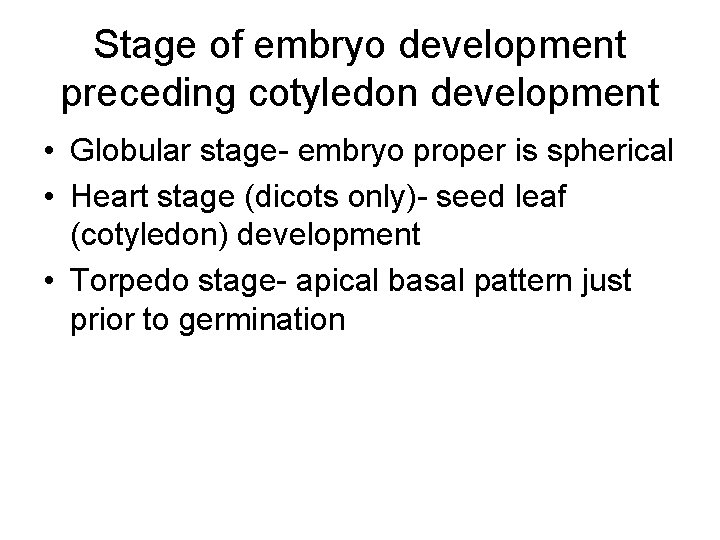 Stage of embryo development preceding cotyledon development • Globular stage- embryo proper is spherical
