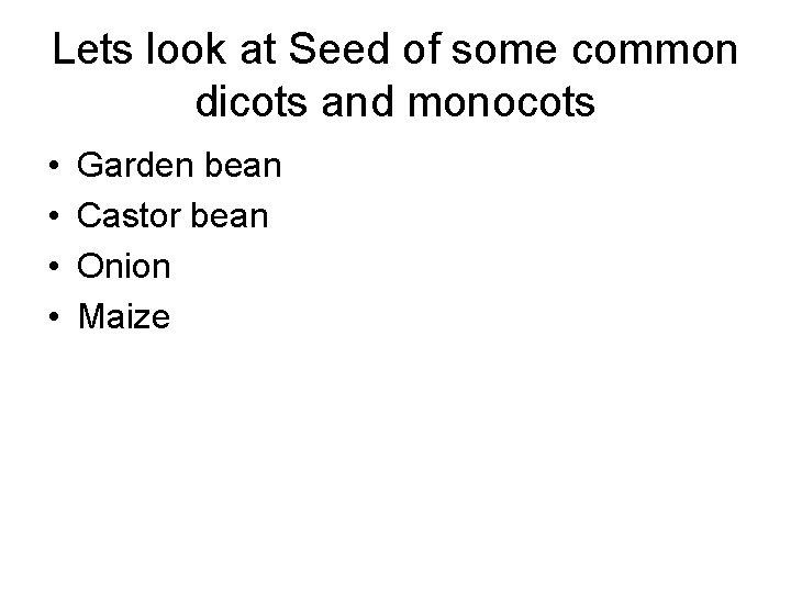 Lets look at Seed of some common dicots and monocots • • Garden bean