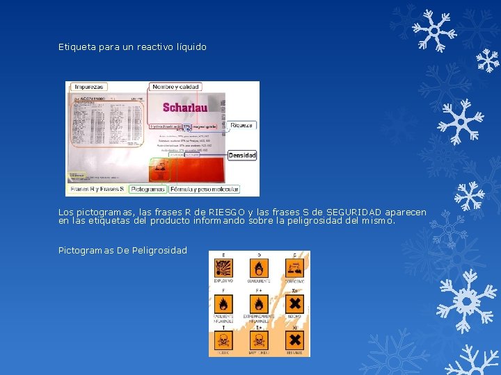 Etiqueta para un reactivo líquido Los pictogramas, las frases R de RIESGO y las