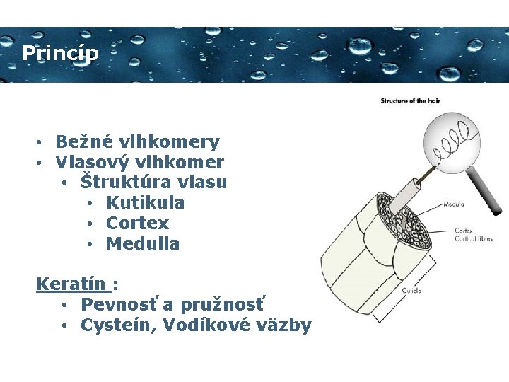 Princíp • Bežné vlhkomery • Vlasový vlhkomer • Štruktúra vlasu • Kutikula • Cortex