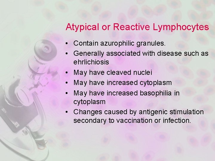 Atypical or Reactive Lymphocytes • Contain azurophilic granules. • Generally associated with disease such