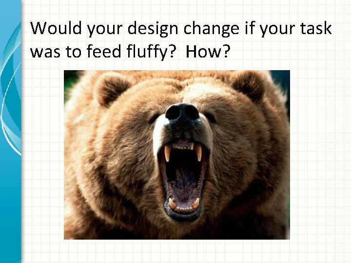 Would your design change if your task was to feed fluffy? How? 