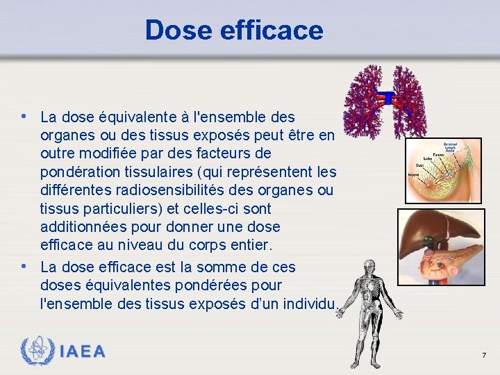 Dose efficace • La dose équivalente à l'ensemble des organes ou des tissus exposés
