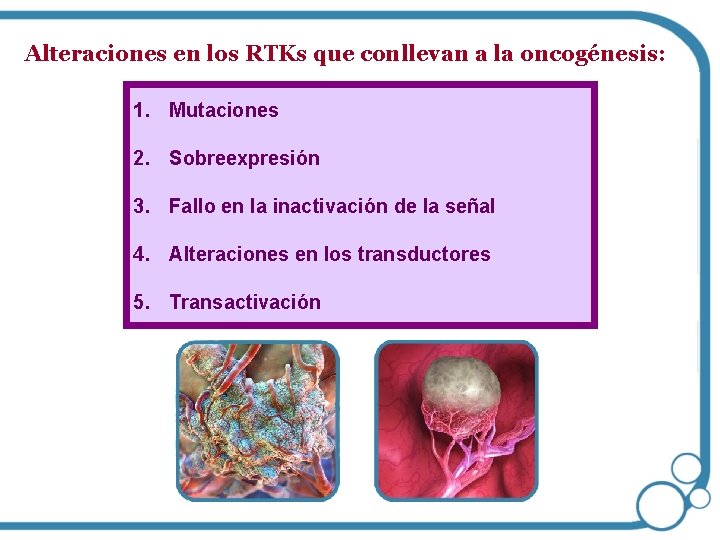 Alteraciones en los RTKs que conllevan a la oncogénesis: 1. Mutaciones 2. Sobreexpresión 3.