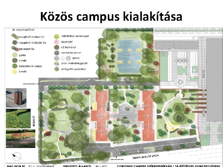 Közös campus kialakítása 