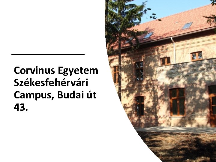 Corvinus Egyetem Székesfehérvári Campus, Budai út 43. 