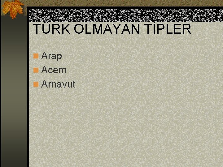 TÜRK OLMAYAN TİPLER n Arap n Acem n Arnavut 