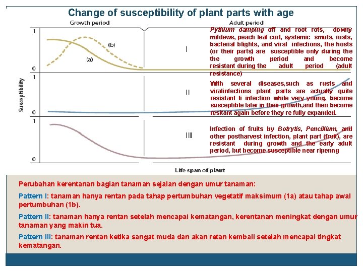 Change of susceptibility of plant parts with age Pythium damping off and root rots,