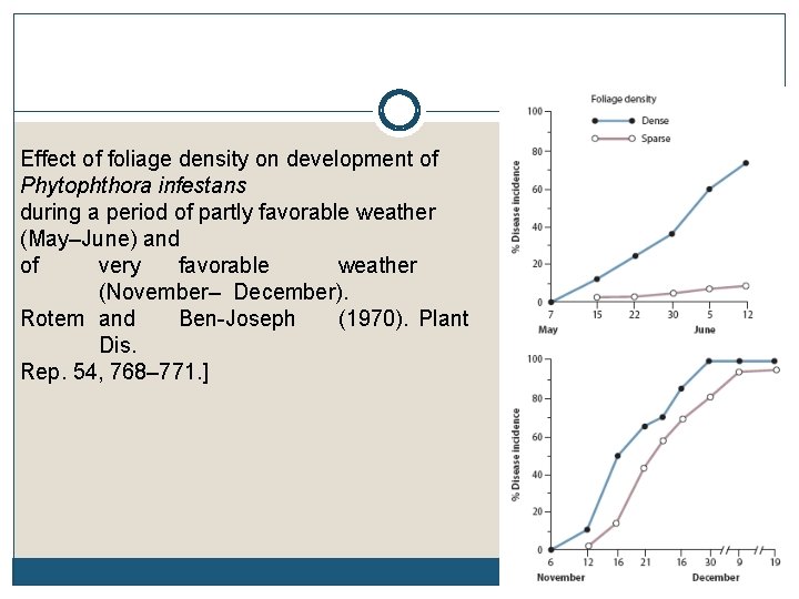 Effect of foliage density on development of Phytophthora infestans during a period of partly