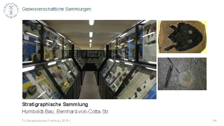 Geowissenschaftliche Sammlungen Stratigraphische Sammlung Humboldt-Bau, Bernhard-von-Cotta-Str. TU Bergakademie Freiberg | 2018 | 34 