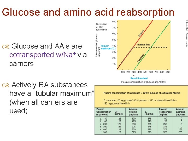 Glucose and amino acid reabsorption Glucose and AA’s are cotransported w/Na+ via carriers Actively