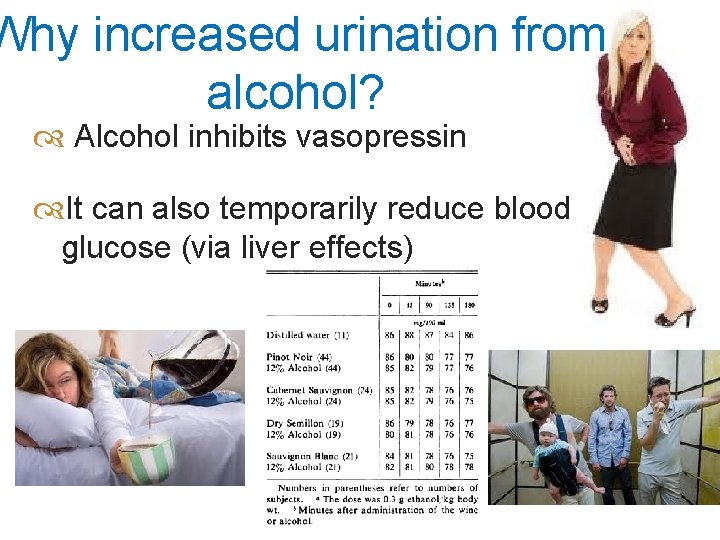 Why increased urination from alcohol? Alcohol inhibits vasopressin It can also temporarily reduce blood