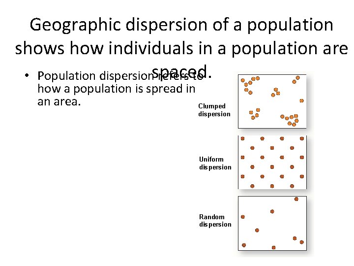 Geographic dispersion of a population shows how individuals in a population are • Population