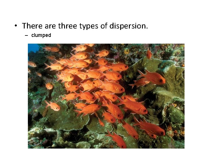  • There are three types of dispersion. – clumped 
