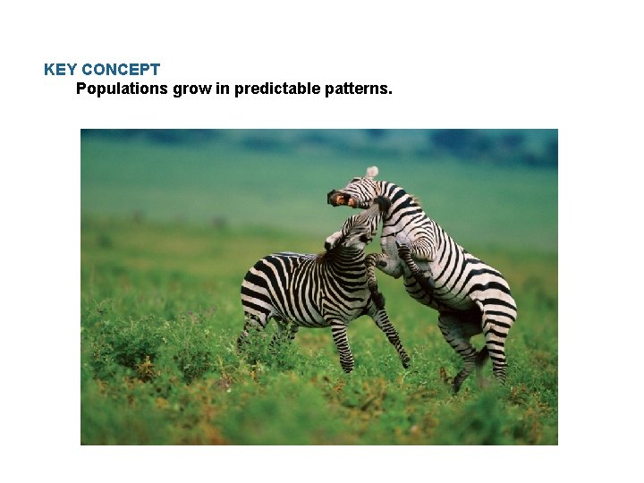 KEY CONCEPT Populations grow in predictable patterns. 