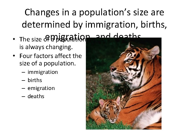  • Changes in a population’s size are determined by immigration, births, emigration, The