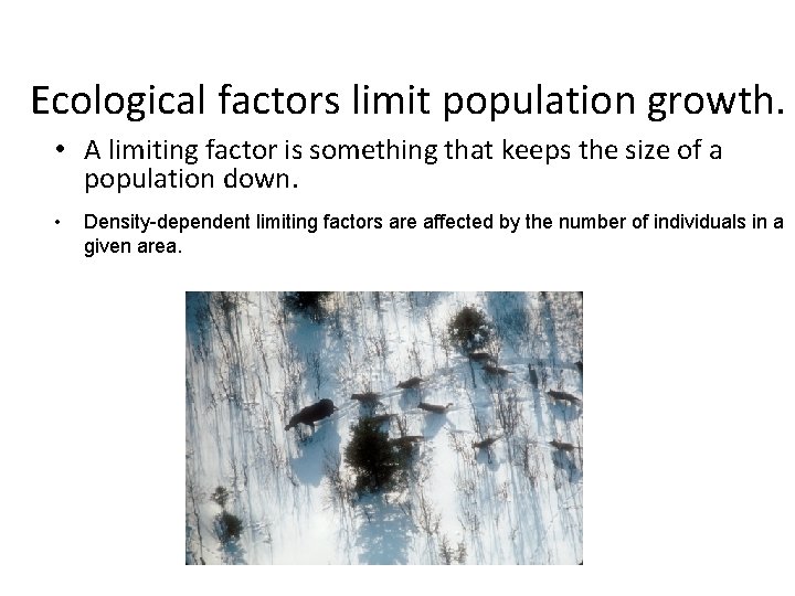 Ecological factors limit population growth. • A limiting factor is something that keeps the