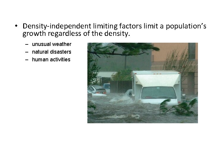  • Density-independent limiting factors limit a population’s growth regardless of the density. –