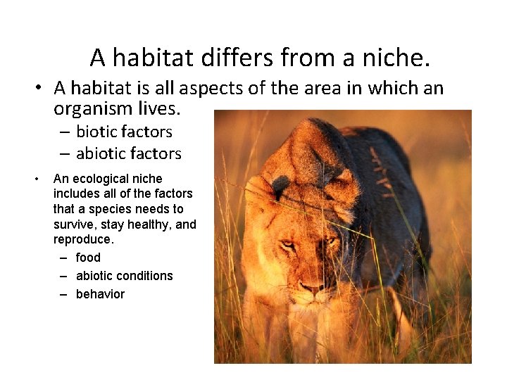 A habitat differs from a niche. • A habitat is all aspects of the