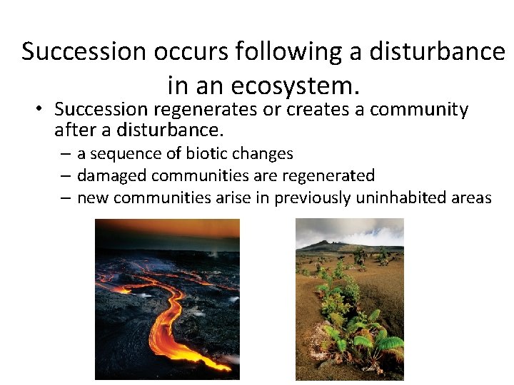 Succession occurs following a disturbance in an ecosystem. • Succession regenerates or creates a