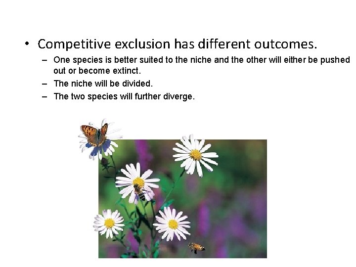  • Competitive exclusion has different outcomes. – One species is better suited to