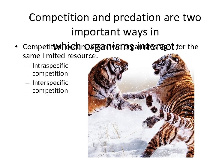  • Competition and predation are two important ways in Competition occursorganisms when two